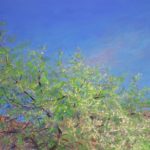 aubepine-au-printemps-aurore-puifferrat-pastelliste-aurorelestrade-21057