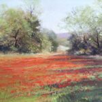 Champ de coquelicots-aurore-puifferrat-pastelliste