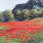 Coquelicots-aurore-puifferrat-pastelliste
