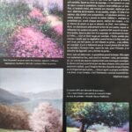 L'Ariegeois Magazine n°290
