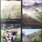 L'Ariegeois Magazine n°290