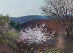 26206 Vallée au printemps -aurore puifferrat pastelliste