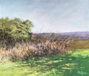 26209 Quelques ombres - aurore puifferrat pastelliste