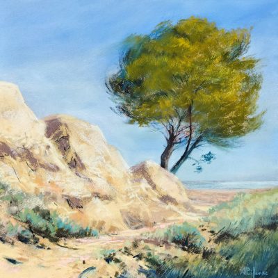 22082le-pin-au-vent-aurore-puifferrat-pastelliste