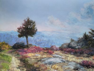 25188 vue sur la montagne bleue puifferrat-pastelliste